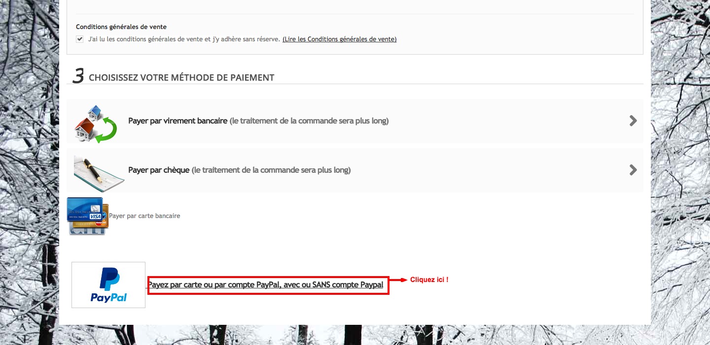 Cliquez sur Paypal
