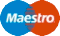 Logo Maestro